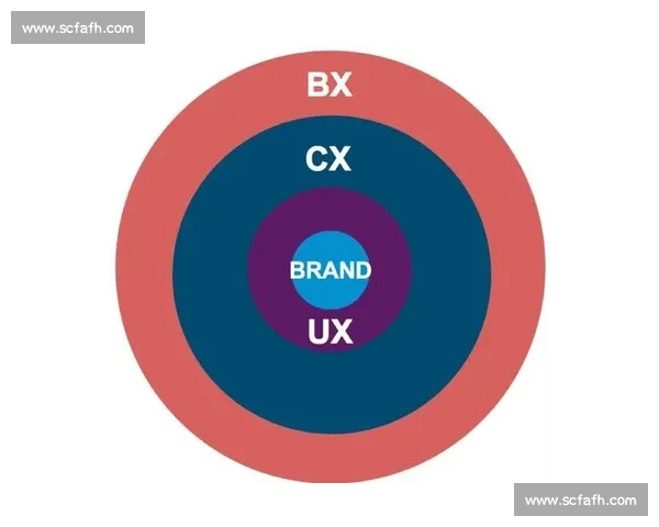 以阿vs网站深度对比解析平台功能优势与用户体验趋势发展前景